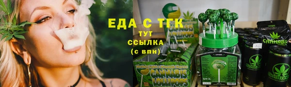 стаф Горняк