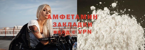 стаф Горняк