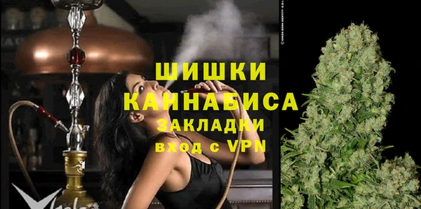 стаф Горняк