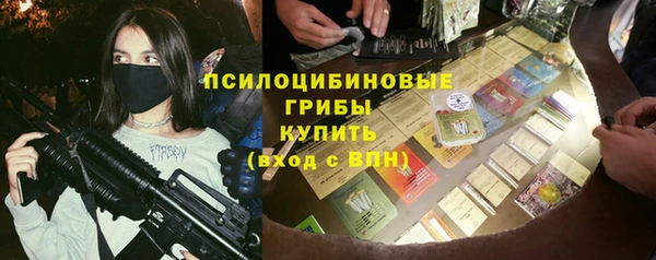 стаф Горняк