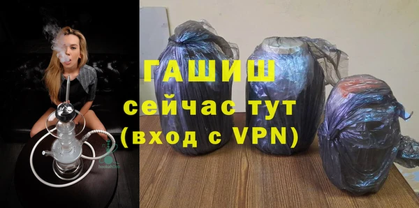стаф Горняк